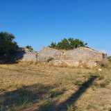 E attorno � un susseguirsi di sterpaglie che si sono impadronite del terreno incolto, intervallate da qualche ulivo solitario
